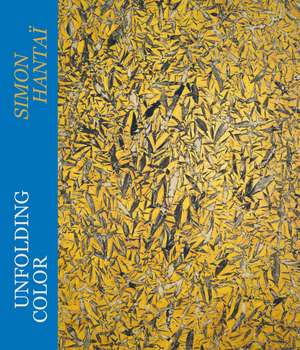 Unfolding Color: Simon Hantaï de Daniel Zamani