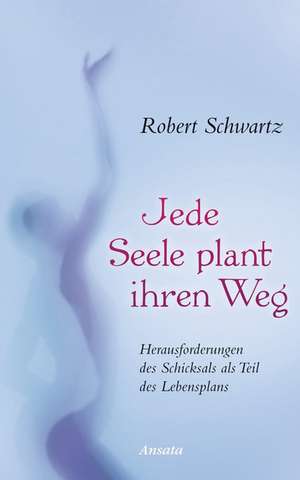 Jede Seele plant ihren Weg de Robert Schwartz