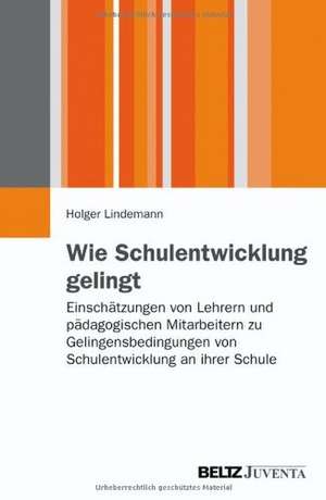 Wie Schulentwicklung gelingt de Holger Lindemann