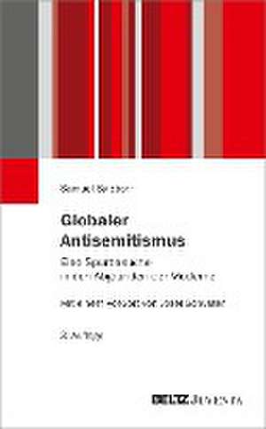 Globaler Antisemitismus de Samuel Salzborn