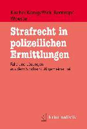 Strafrecht in polizeilichen Ermittlungen de Sascha Kische