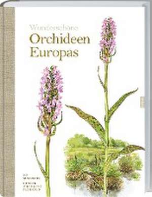 Wunderschöne Orchideen Europas de Bo Mossberg