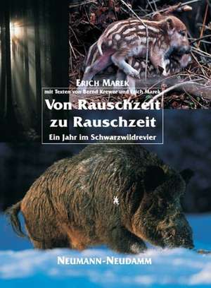 Von Rauschzeit zu Rauschzeit de Erich Marek