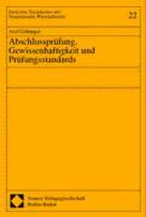 Abschlussprüfung, Gewissenhaftigkeit und Prüfungsstandards de Axel Gehringer