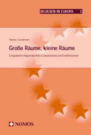 Große Räume, kleine Räume de Thomas Conzelmann