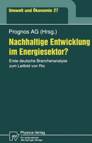 Nachhaltige Entwicklung im Energiesektor?: Erste deutsche Branchenanalyse zum Leitbild von Rio de Peter Hofer