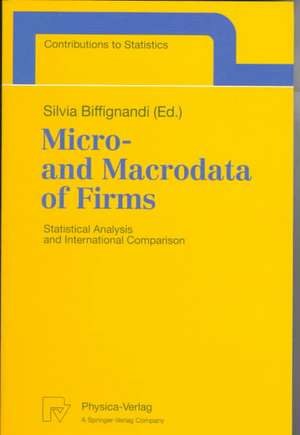 Micro- and Macrodata of Firms: Statistical Analysis and International Comparison de Silvia Biffignandi