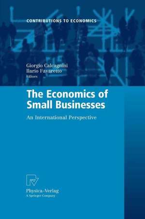 The Economics of Small Businesses: An International Perspective de Giorgio Calcagnini