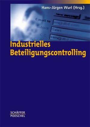 Industrielles Beteiligungscontrolling de Hans-Jürgen Wurl