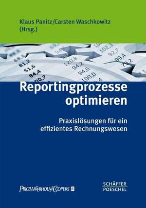 Reportingprozesse optimieren de Klaus Panitz