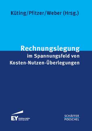 Rechnungslegung im Spannungsfeld von Kosten-Nutzen-Überlegungen de Peter Küting