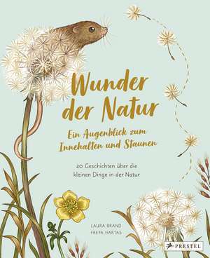 Wunder der Natur. Ein Augenblick zum Innehalten und Staunen de Laura Brand