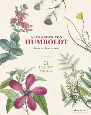 ALEXANDER VON HUMBOLDT BOTANICAL ILLUSTR de OTFRIED BAUME