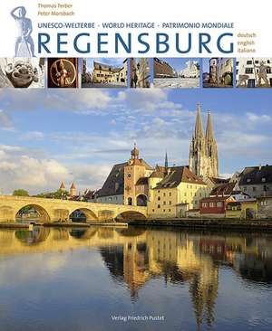 Regensburg de Thomas Ferber