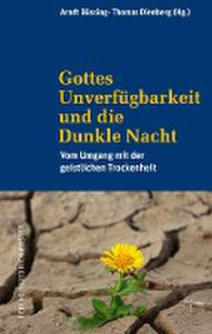 Gottes Unverfügbarkeit und die Dunkle Nacht de Arndt Büssing