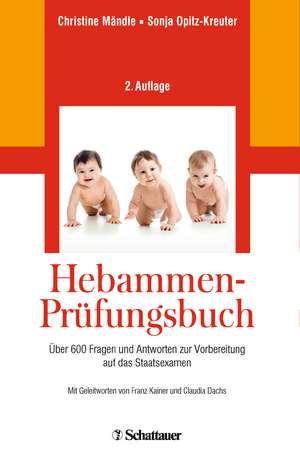 Hebammen-Prüfungsbuch de Christine Mändle