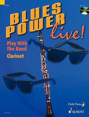 Blues Power live! de Gernot Dechert