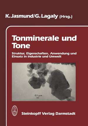 Tonminerale und Tone: Struktur, Eigenschaften, Anwendungen und Einsatz in Industrie und Umwelt de Karl Jasmund