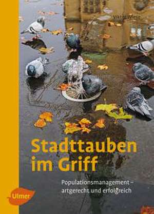 Stadttauben im Griff de Viktor Wiese