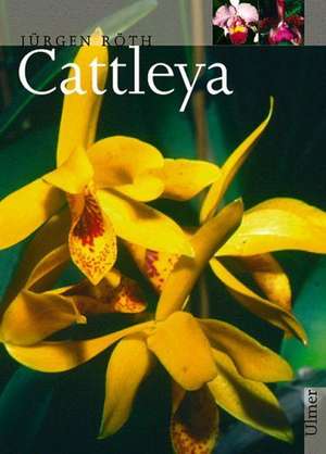 Cattleya de Jürgen Röth