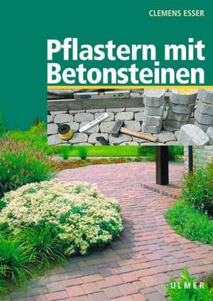 Pflastern mit Betonsteinen de Clemens Esser