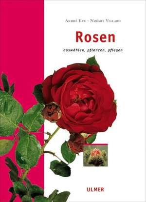 Rosen de André Eve