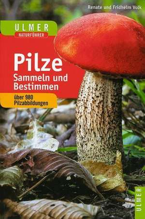 Volk, F: Pilze sammeln u. bestimmen