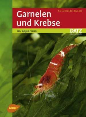 Garnelen und Krebse im Aquarium de Kai Alexander Quante