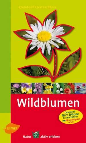 Steinbachs Naturführer Wildblumen de Bruno P. Kremer