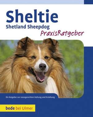 Sheltie de Charlotte Schwartz