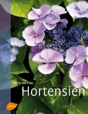 Hortensien de Harry van Trier