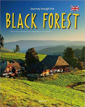 Journey Through the Black Forest: Rangordnung Und Idoneitat in Hofischen Gesellschaften Des Spaten Mittelalters de Annette Meisen