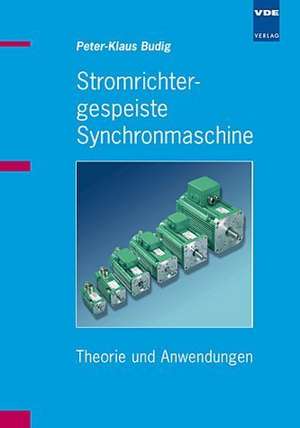 Stromrichtergespeiste Synchronmaschine de Peter-Klaus Budig