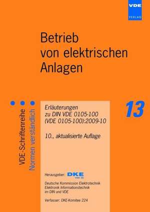 Betrieb von elektrischen Anlagen de Rüdiger Hoffmann