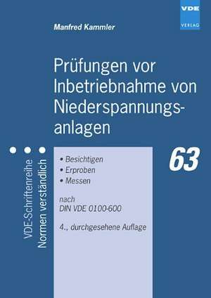 Prüfungen vor Inbetriebnahme von Niederspannungsanlagen de Manfred Kammler