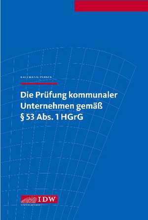 Die Prüfung kommunaler Unternehmen gemäß § 53 Abs. 1 HGrG de Michael Kaufmann