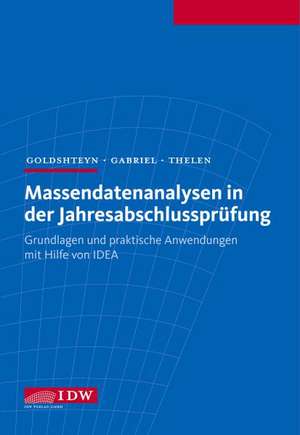 Massendatenanalysen in der Jahresabschlussprüfung de Michael Goldshteyn