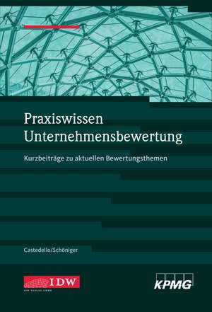 Praxiswissen Unternehmensbewertung de Marc Castedello