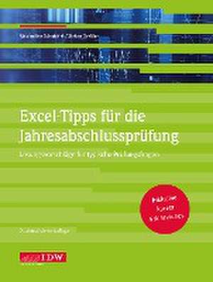 Excel-Tipps für die Jahresabschlussprüfung de Maximilian Schoichet