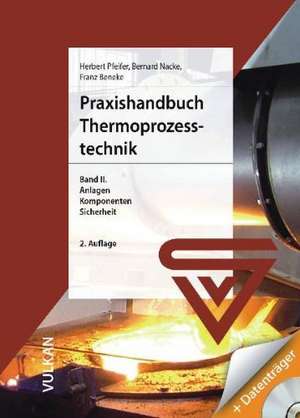 Praxishandbuch Thermoprozess-Technik 2 - mit CDR de Franz Beneke