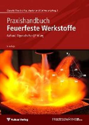 Praxishandbuch Feuerfeste Werkstoffe de Gerald Routschka