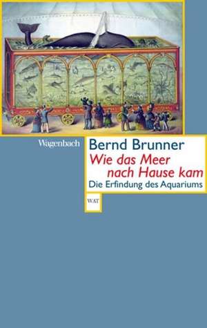 Wie das Meer nach Hause kam de Bernd Brunner