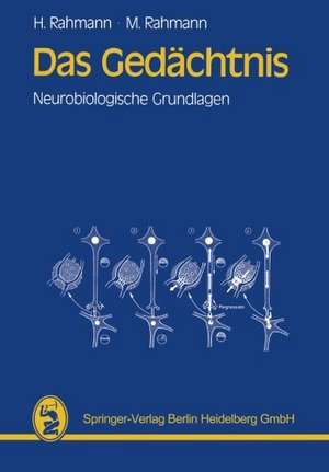 Das Gedächtnis: Neurobiologische Grundlagen de Hinrich Rahmann