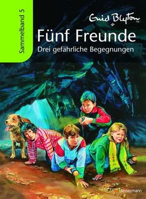 Fünf Freunde Sammelband 05. Drei gefährliche Begegnungen de Enid Blyton