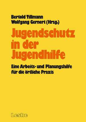 Jugendschutz in der Jugendhilfe: Eine Arbeits- und Planungshilfe für die örtliche Praxis de Bertold Tillmann