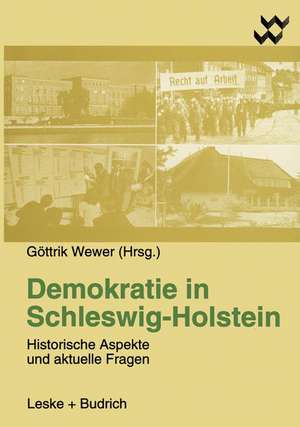 Demokratie in Schleswig-Holstein: Historische Aspekte und aktuelle Fragen de Göttrik Wewer