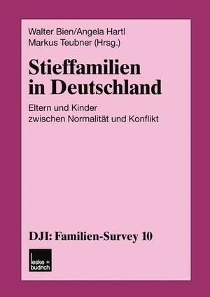 Stieffamilien in Deutschland: Eltern und Kinder zwischen Normalität und Konflikt de Walter Bien