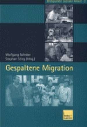 Gespaltene Migration de Wolfgang Schröer