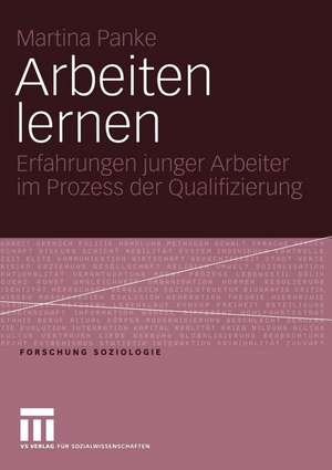 Arbeiten lernen: Erfahrungen junger Arbeiter im Prozess der Qualifizierung de Martina Panke