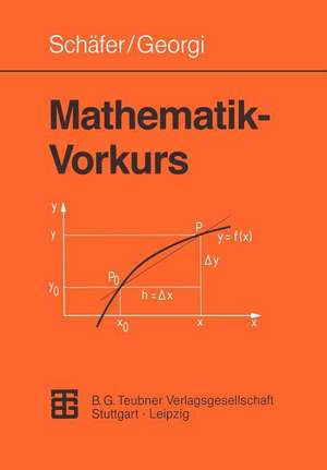 Mathematik-Vorkurs: Übungs- und Arbeitsbuch für Studienanfänger de Wolfgang Schäfer